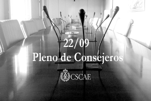 Pleno consejeros junio
