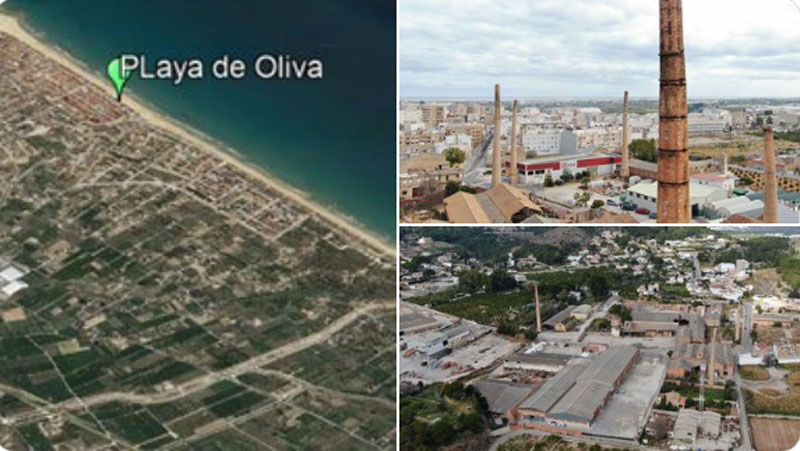 04 oliva