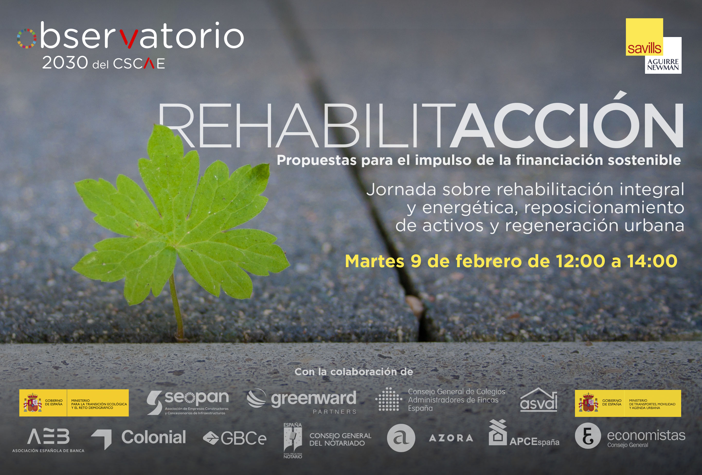 MailingRehab3 copia web y rrss