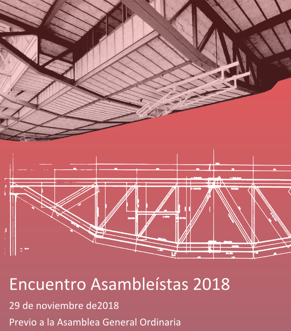 Programa Asambleistas DEF copia web