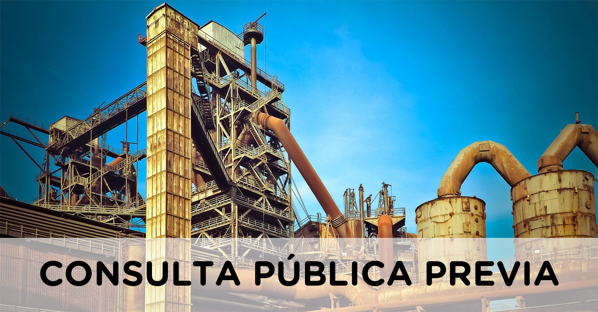 CONSULTA PUBLICA PREVIA