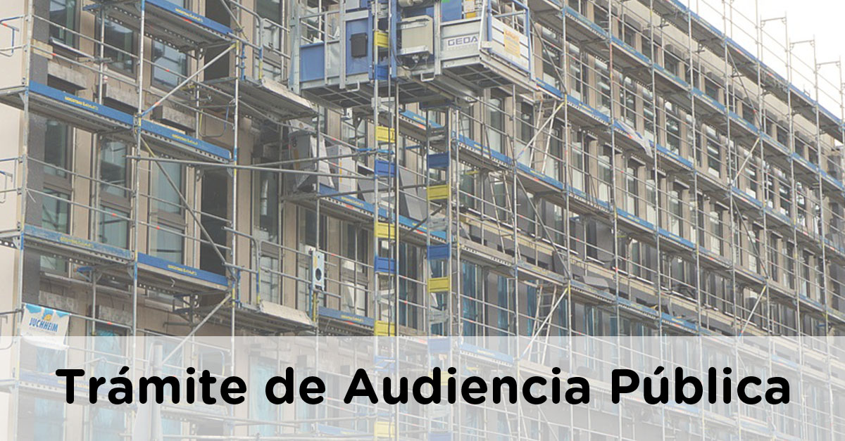 CONSULTA PUBLICA PREVIA copia 1