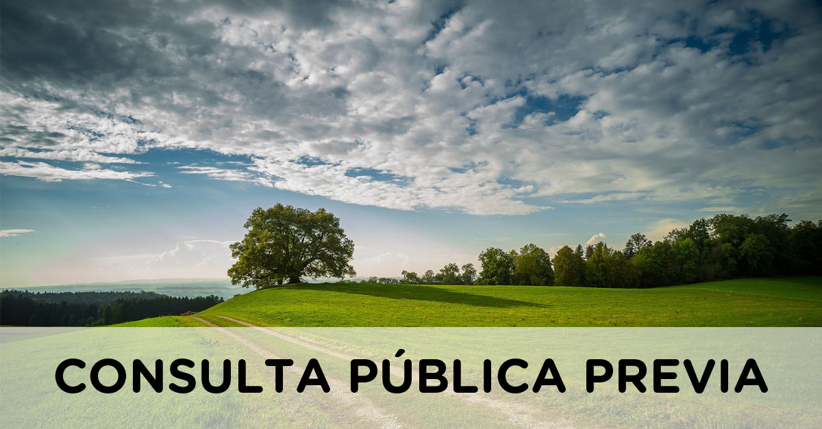 CONSULTA PUBLICA PREVIA copia descarbonizacion