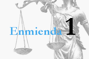 ENMIENDA 1. Eliminar la limitación temporal en la justificación de la solvencia