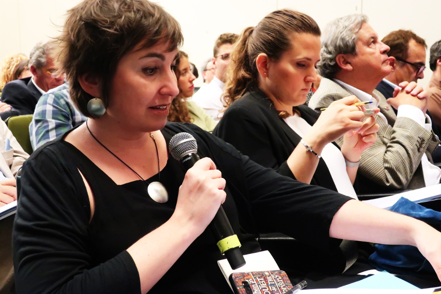 Asambleísta